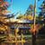 Lynn Phillips Helwig's profile image