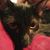 Brenna McGruder Rawson's profile image