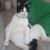 Lisa Stephens's profile image
