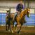 Breah Lyrie Ungaro's profile image
