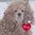 Lynn Terrell Beam's profile image
