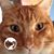 Judy D Mason's profile image