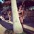 Denisse Vilchis's profile image