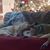 Karen Anderson's profile image