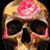 Tina Walls's profile image