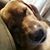 Shellie Skinner Ritsema's profile image