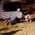 Dustin Mccampbell's profile image