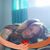 Donna Lakin's profile image