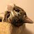Brandi LaSha Rutha's profile image