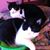 Kathy Sturgill's profile image