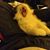 Ryan M Kelley's profile image