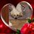 Colin Marklein's profile image