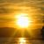Daphne Litchford Cantey's profile image