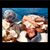 Sidney Gabriella Maria Evangelista's profile image