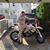 Mike Morganstern's profile image