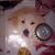 Betsy Sweeting's profile image