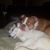 Jolene Freeman's profile image