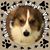 Tricia Slusser's profile image
