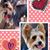Rosa Rodriguez's profile image