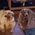 Laura Frye White's profile image