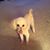 Donna Bell's profile image