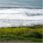 Gail Olmstead's profile image