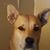 Craig Bergstrom's profile image