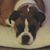 Pam Cross's profile image