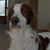 Sally Nusslock's profile image