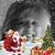 Gina Destro's profile image