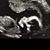 Ashlee Renfrow Bunch's profile image