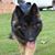 Caroline Callison Tiffin's profile image