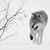 Susan Steinbach's profile image