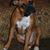 Dixie Mitchell's profile image