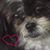 Angela Fulgoni Lytle's profile image
