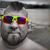 Shawn Ray's profile image