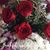 Judith Shdeed Waelbrock's profile image