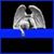 Andrea Haidu's profile image