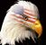 Ernest Olivieri's profile image