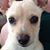 Nanci Vitale's profile image