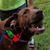 Tracy 'Cook' Huben's profile image