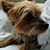 TeeTa Frisby's profile image