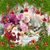 Binita Sarkar's profile image