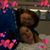 Shauna Meuth's profile image