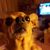 Marsha Aylieff's profile image