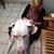 Jerri Gill Powell's profile image