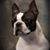 Susan Milton-lloyd's profile image