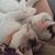Sarah Lynn Hollenberg's profile image