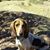 JR Rodo Ruiz's profile image