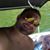 Ryan Arrington's profile image